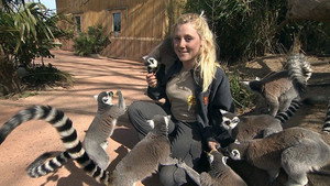 Une saison au zoo Season 2 Ep.28 28. epizód