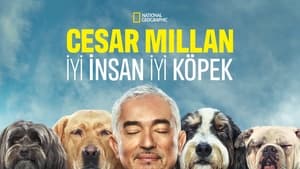 Cesar Millan: Jó gazdi, jó kutya kép