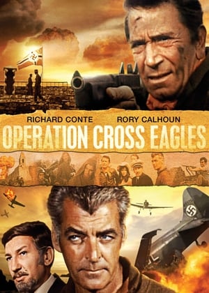 Operation Cross Eagles poszter