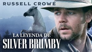 Az ezüst Brumby háttérkép