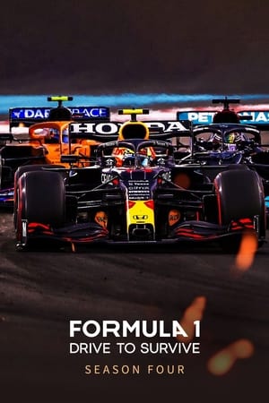 Formula 1: Hajsza a túlélésért