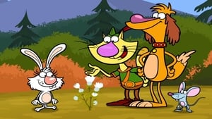 Nature Cat Season 1 Ep.18 18. epizód