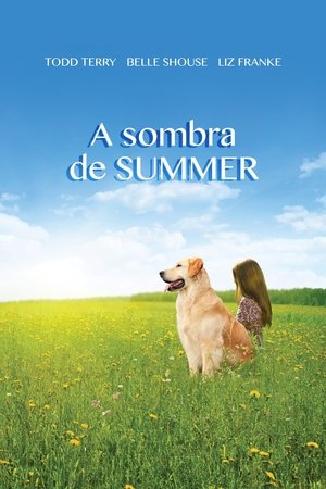 Summer's Shadow poszter