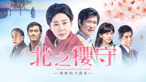 北の桜守 háttérkép