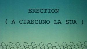 Erection háttérkép