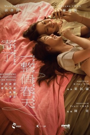 寄了一整個春天 poszter