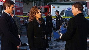 CSI: New York-i helyszínelők 5. évad Ep.17 Zöld indulat