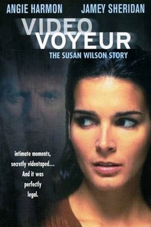 Video Voyeur: The Susan Wilson Story poszter