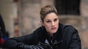 FBI: New York különleges ügynökei 2. évad Ep.16 16. epizód
