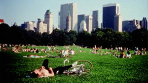 Central Park háttérkép