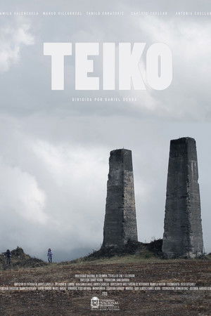 Teiko poszter
