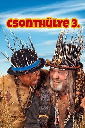 Csonthülye 3. poszter