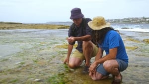 Gardening Australia Season 29 Ep.6 6. epizód