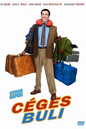 Céges buli