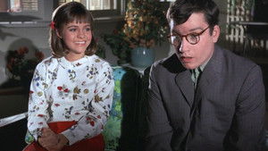 Gidget Season 1 Ep.20 20. epizód