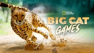 Big Cat Games háttérkép