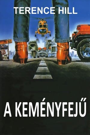 A keményfejű