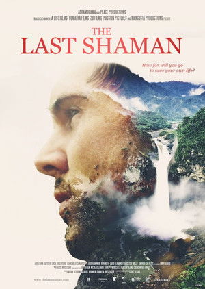 The Last Shaman poszter