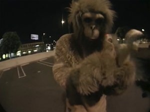 Jackass 3. évad Ep.8 8. epizód