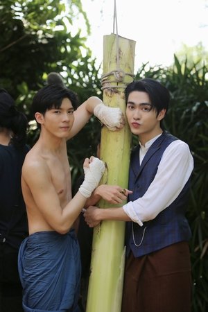 จาฤกรติชา poszter