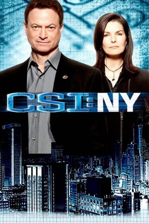 CSI: New York-i helyszínelők poszter