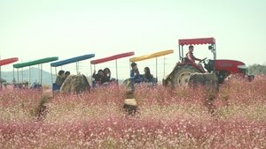세하별 háttérkép