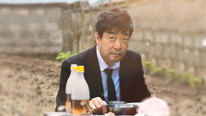 봄날 háttérkép