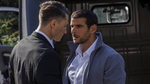 Tigres et Hyènes háttérkép