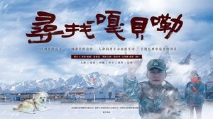 寻找嘎贝勒 háttérkép