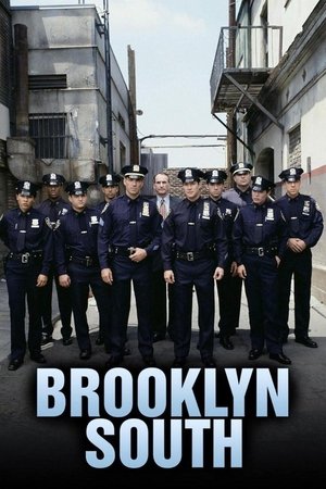 Brooklyn South poszter