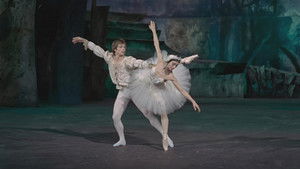 Swan Lake háttérkép