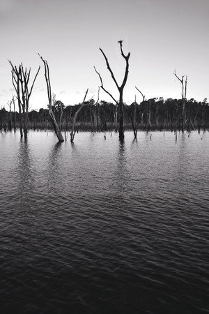 O Reflexo do Lago poszter