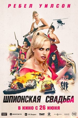 Násznaposok poszter