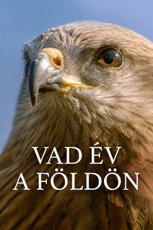 Vad év a Földön