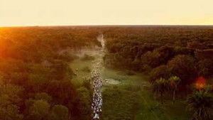Pantanal: A Boa Inocência de Nossas Origens háttérkép