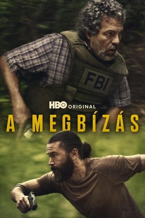 A megbízás