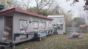Pigeon People háttérkép