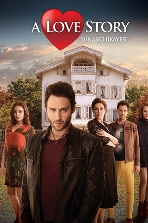 Bir Aşk Hikayesi poszter