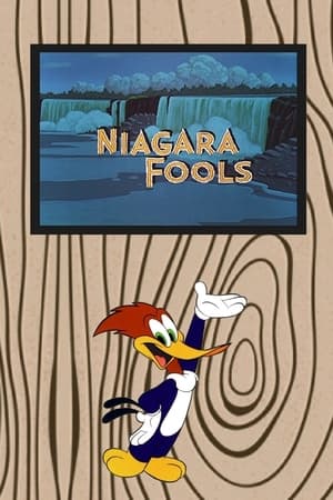 Niagara Fools poszter