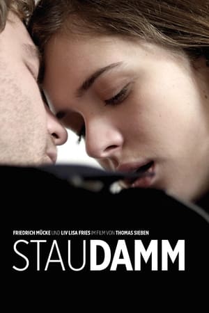 Staudamm