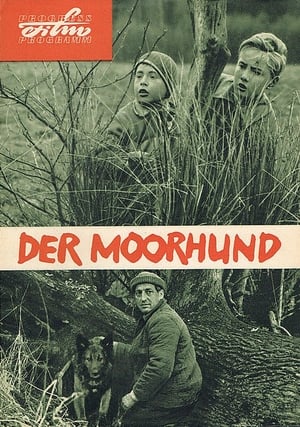 Der Moorhund poszter