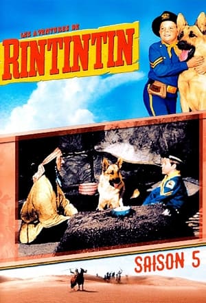 The Adventures of Rin Tin Tin