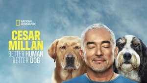 Cesar Millan: Jó gazdi, jó kutya kép