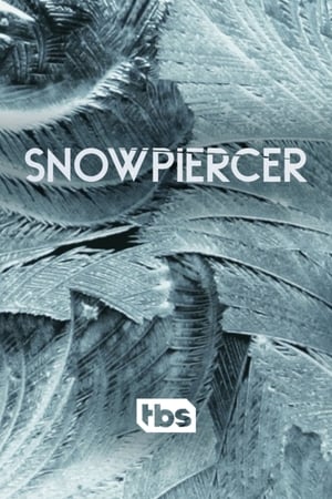 Snowpiercer – Túlélők viadala poszter