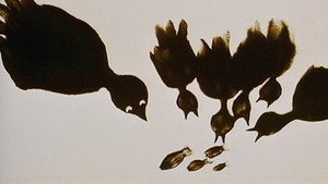 The Owl Who Married a Goose: An Eskimo Legend háttérkép