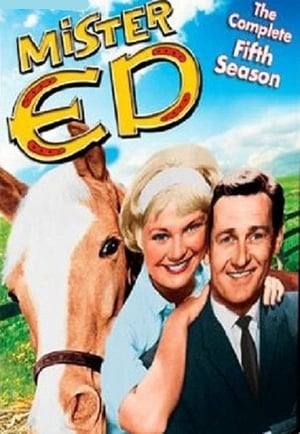 Mister Ed