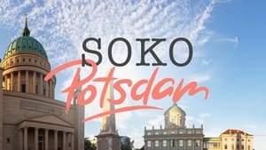 SOKO Potsdam kép