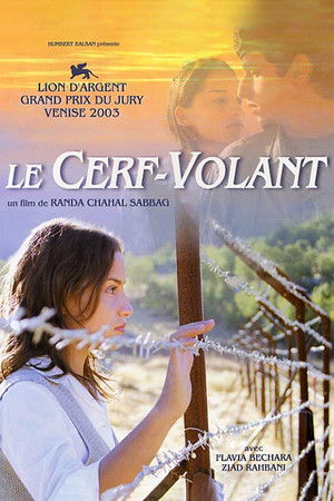 Le cerf-volant poszter