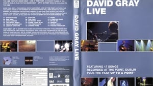 David Gray: Live at the Point háttérkép