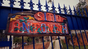 Natureza háttérkép